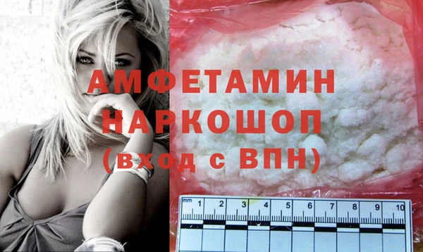 сатива Балахна