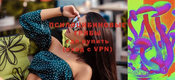 ПСИЛОЦИБИНОВЫЕ ГРИБЫ Баксан
