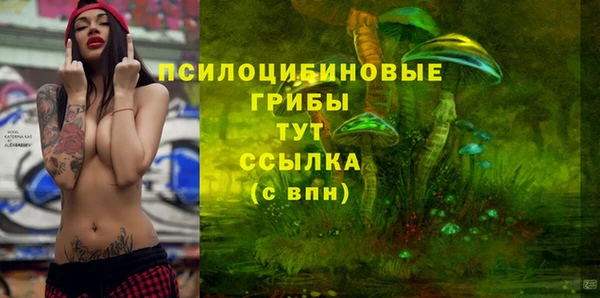 не бодяженный Армянск