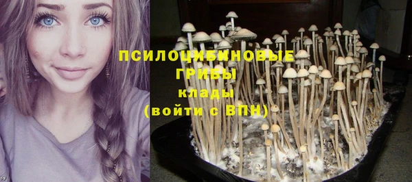 ПСИЛОЦИБИНОВЫЕ ГРИБЫ Баксан