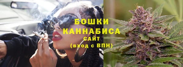 сатива Балахна