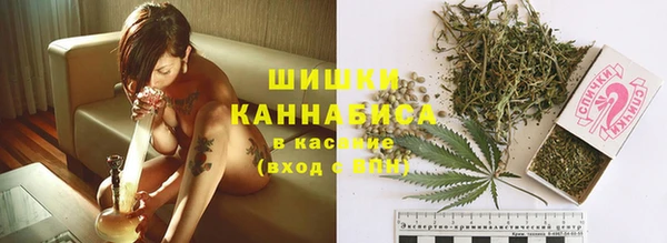 сатива Балахна